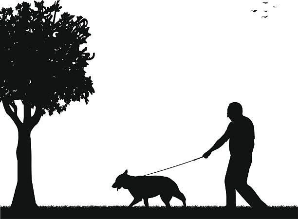 ilustraciones, imágenes clip art, dibujos animados e iconos de stock de hombre caminando con su perro en el parque - people silhouette aging process tree