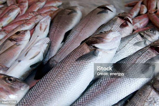 Mercado De Pescado Foto de stock y más banco de imágenes de Dorada del Japón - Dorada del Japón, Pez, Alimento