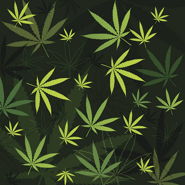 Marijuana tle – artystyczna grafika wektorowa