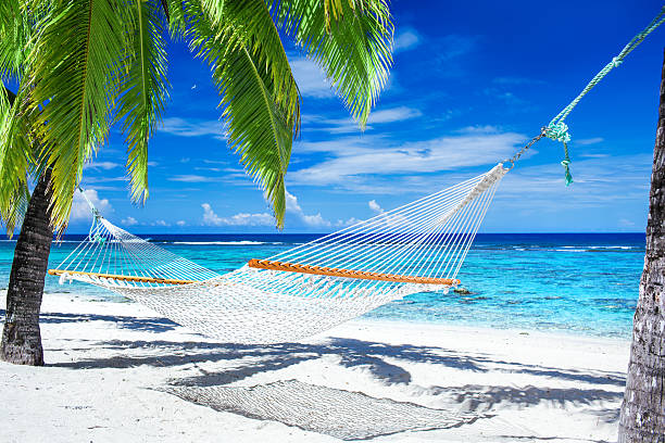 istock A beautiful hammock between palm trees by the beach 466577157