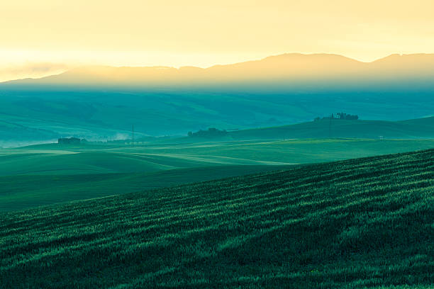 brouillard du matin vue sur les terres agricoles de la toscane, italie - siena province tuscany italy fog photos et images de collection