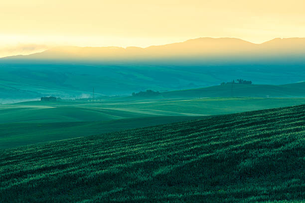 rano mgła widok na użytkach rolnych w toskania, włochy - siena province tuscany italy fog zdjęcia i obrazy z banku zdjęć