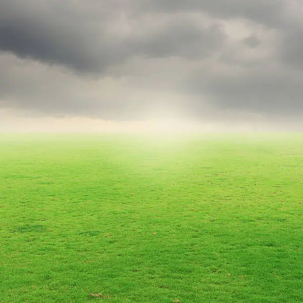 Grass fields and rainclouds
