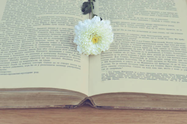 istock White flower on old book vintage 466579063