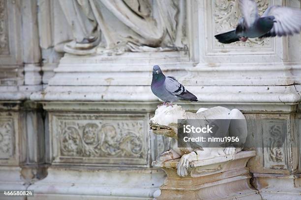 Fonte Gaia Piazza Del Campo Siena Italy Stock Photo - Download Image Now