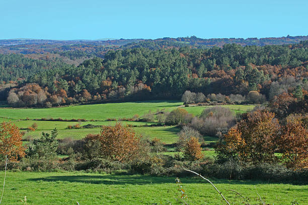 istock Landscape of Galicia 466581266