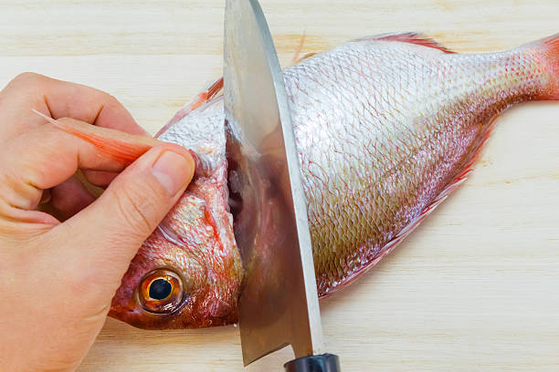 istock Preparing a sea bream in the Japanese style 466584044