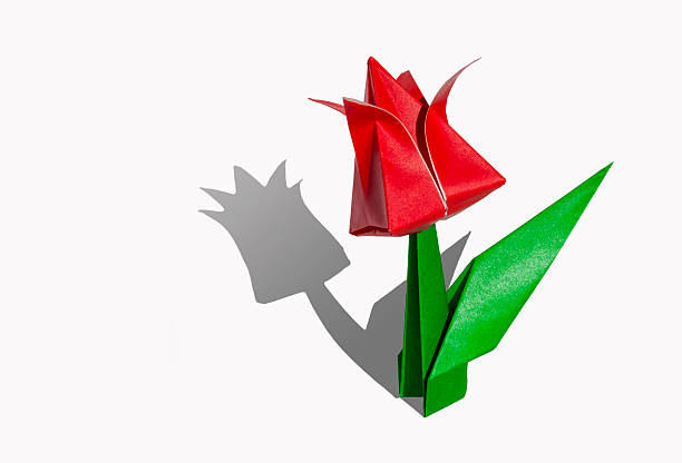 istock Origami flower red tulip isolated on white 466585957