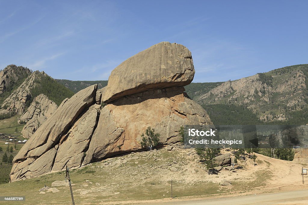 Turtle Rock Terelj National Park Mongolia Animal Wildlife Stock Photo