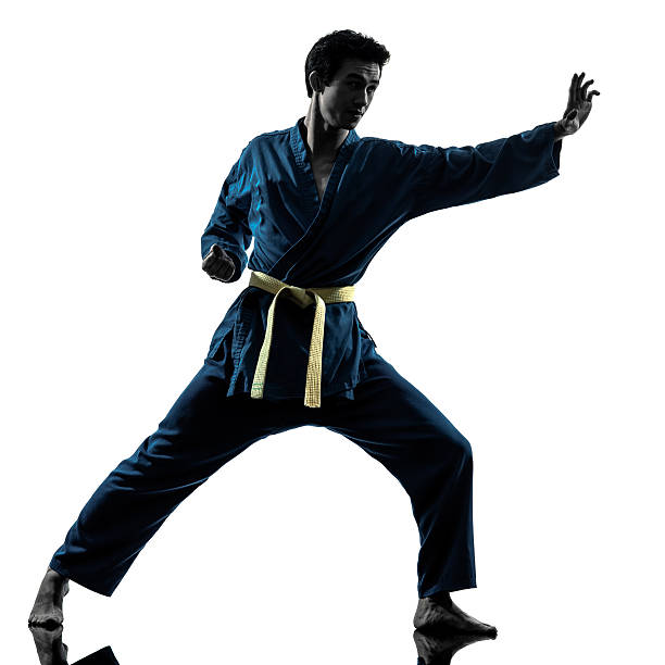 istock karate vietvodao martial arts man silhouette 466593193