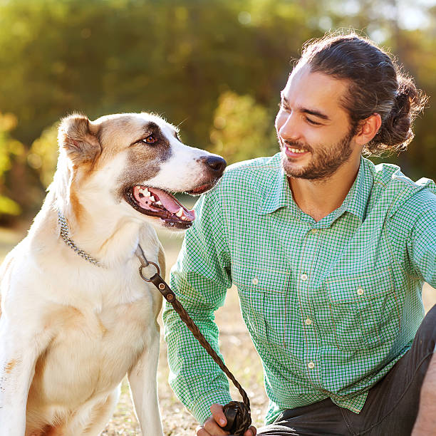 istock Man and central Asian shepherd walk in the park. 466594497