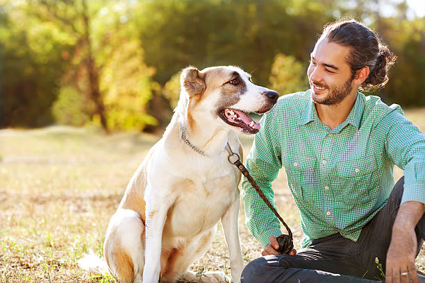istock Man and central Asian shepherd walk in the park. 466594501