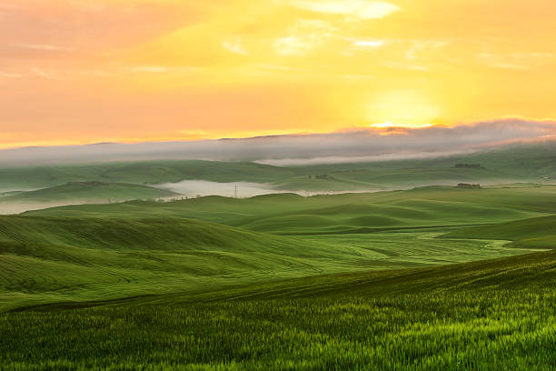 brouillard du matin vue sur les terres agricoles de la toscane, italie - siena province photos et images de collection