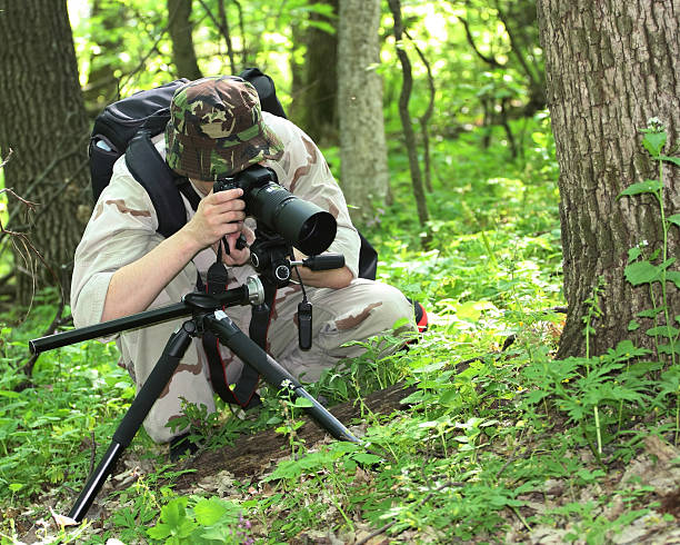 istock Wildlife photographer in light camouflage 466595735