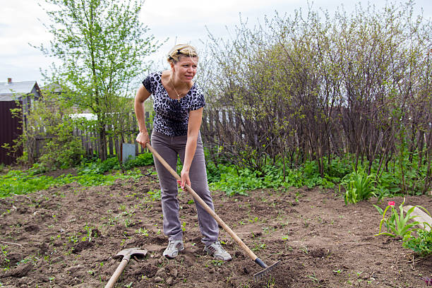 istock Shapely blond leveled ground rake in the spring garden 466597456