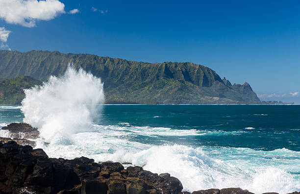 istock Waves hit rocks at Queens Bath Kauai 466598410