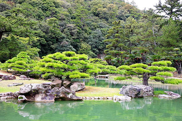 istock Garden in a small lake 466600373
