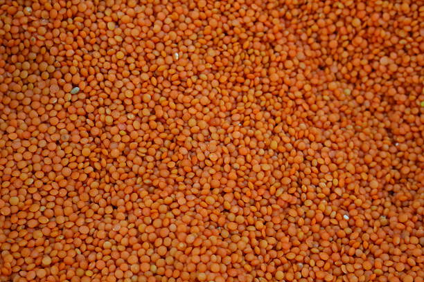 red lentils stock photo