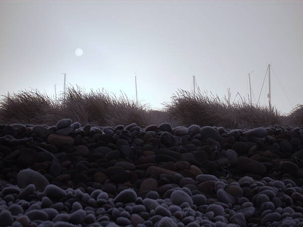 istock Frosty and Misty Findhorn Bay 466600766