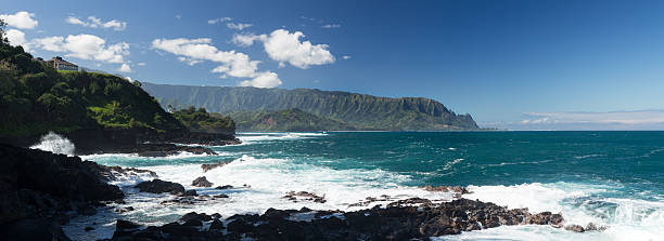 istock Waves hit rocks at Queens Bath Kauai 466601172