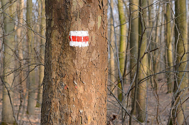 istock Red sign on tree for hiking tourism 466601544