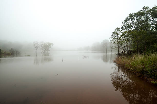 morning's fog over the lake - fjäll sjö sweden bildbanksfoton och bilder