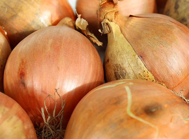 istock Image of dried white onions, plain background, orange skins peeling 466602590