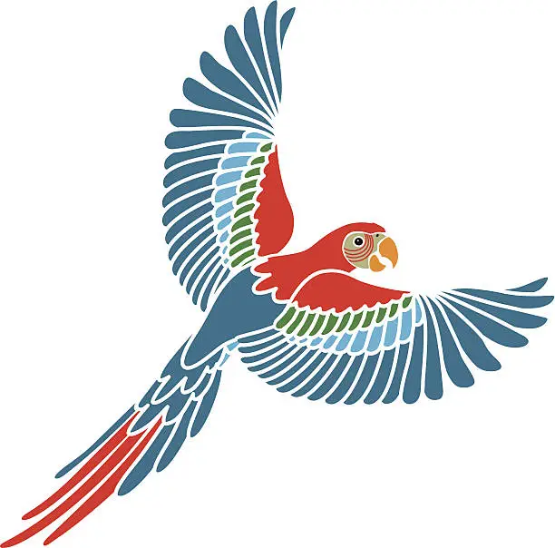 Vector illustration of flying parrot color
