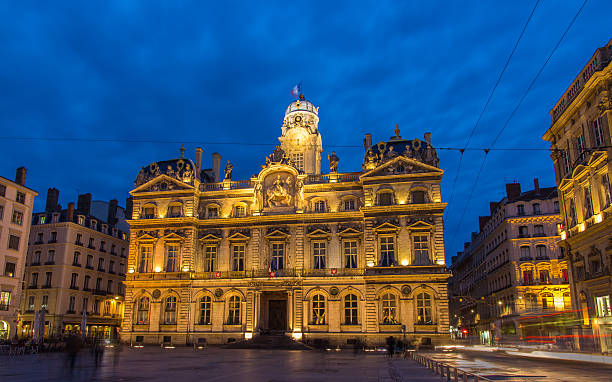 istock City hall in Lyon, France 466609785