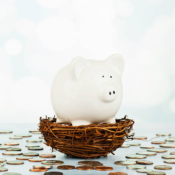 istock Piggy Bank Incubating its Nest Egg 466610791