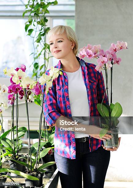 Girl With Orchids Stock Photo - Download Image Now - Adult, Adults Only, Beautiful People