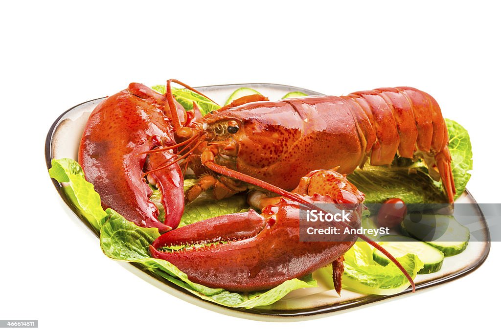 Large Lobster Animal Stock Photo