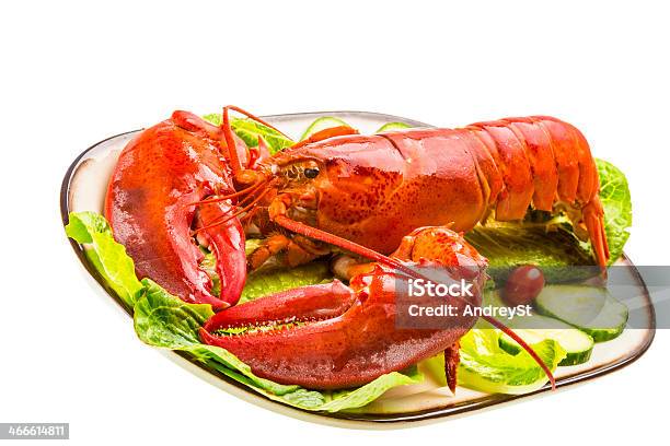 Large Lobster Stock Photo - Download Image Now - Animal, Atlantic Ocean, Bearnaise