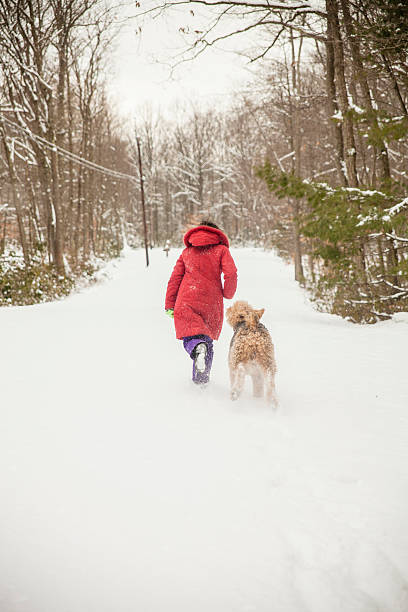 istock A girl is playing with her dog in a show covered Wintry looking forest. 466619547