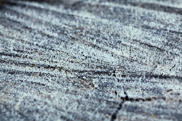 istock Macro of rime crystals on wood 466621663