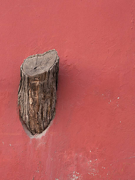 Tree stump on the wall Tree stump on the wall.  About people destroying the nature. conceptional stock pictures, royalty-free photos & images