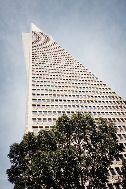 Transamerica Pyramid Building em San Francisco - foto de acervo