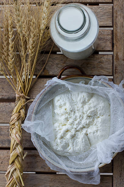 istock Fresh homemade cottage cheese 466623347