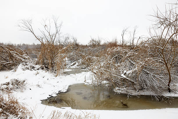 istock frozen small river of snow-covered bush 466623981