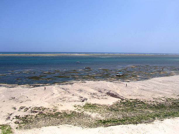 istock Low tide relaxation and recreation Mombasa beach in Kenya 466626032