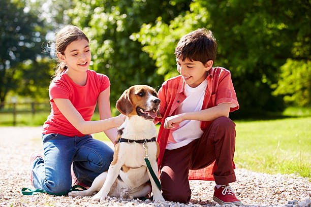 Hispanic Children Taking Dog For Walk In Countryside Hispanic Children Taking Dog For Walk In Countryside On Summers Day pet leash photos stock pictures, royalty-free photos & images
