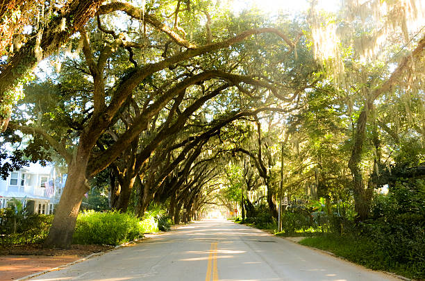 Magnolia Avenue, St. Augustine, Florida