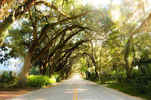 Magnolia Avenue, St. Augustine, Florida stock photo