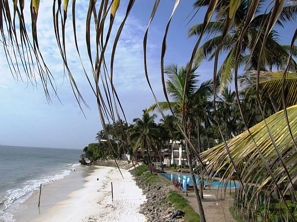 istock High tide relaxation and recreation Mombasa beach in Kenya 466630034