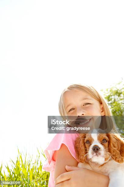 のないことを断った Go - 女の子のストックフォトや画像を多数ご用意 - 女の子, 子犬, 見る