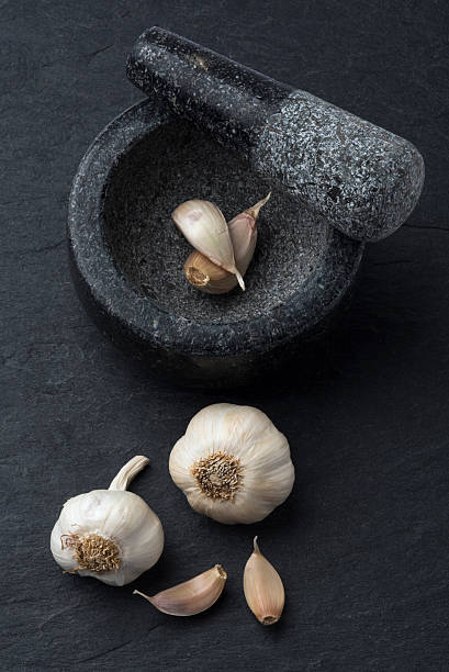 Mortar and pestle with healthy vegetables dried garlic isolated on black slate background. This Photo is Vertical composition and selective focus. No People.