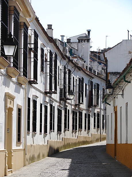 istock Streets of Sevilla, Spain 466633115