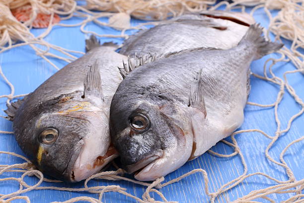 istock Three bream in fishing net on blue wooden background 466634002