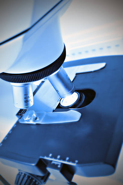 写真ラボ microscope.ます。 - stem cell human cell animal cell science ストックフォトと画像