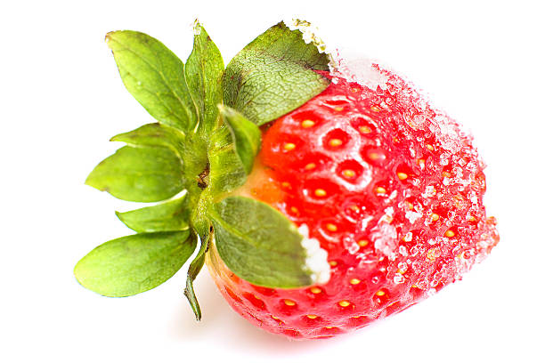 Strawberry stock photo